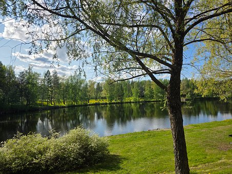 Natur, Fluss, Sommer, Finnland