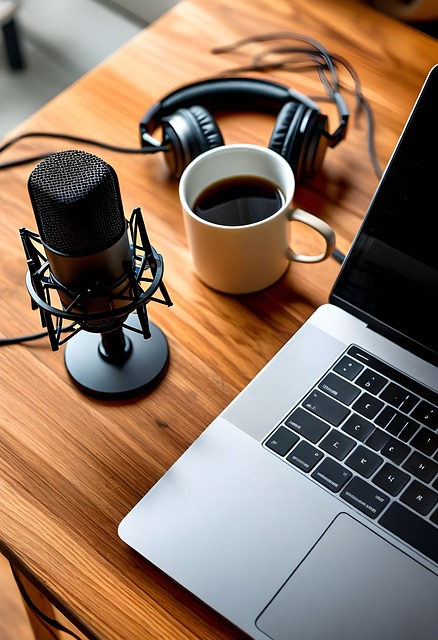 Podcast, Fladt Lå, Mikrofon