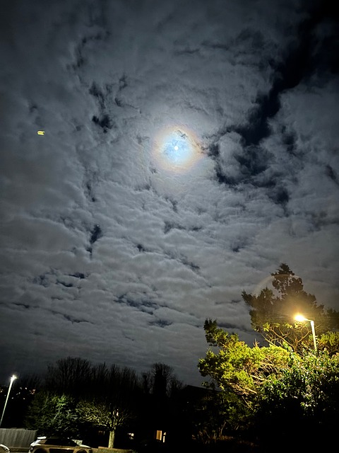 Free Stars Sky photo and picture