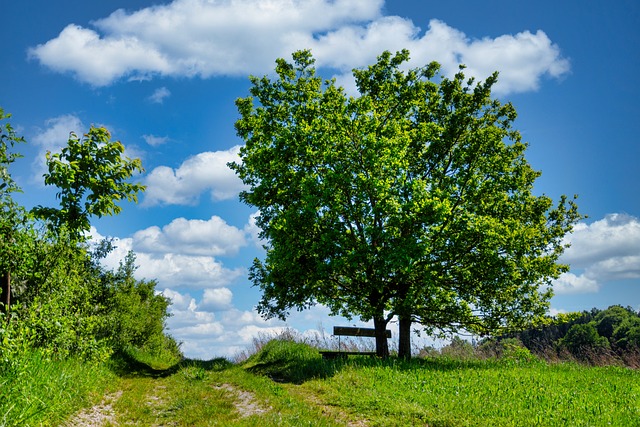 Free Spring Nature photo and picture