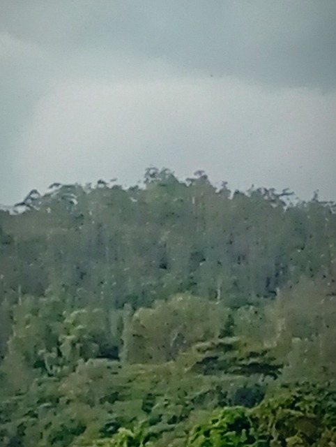 Landscape, Nature, Green, Cloud, Cloudy