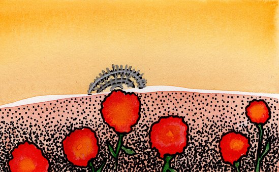 Panorama, Abstract, Cravo, Flores