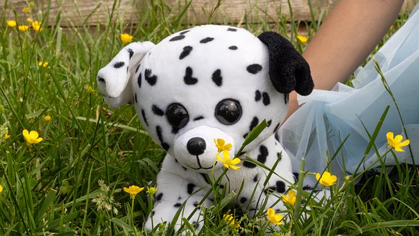 Free Doggy Dog photo and picture