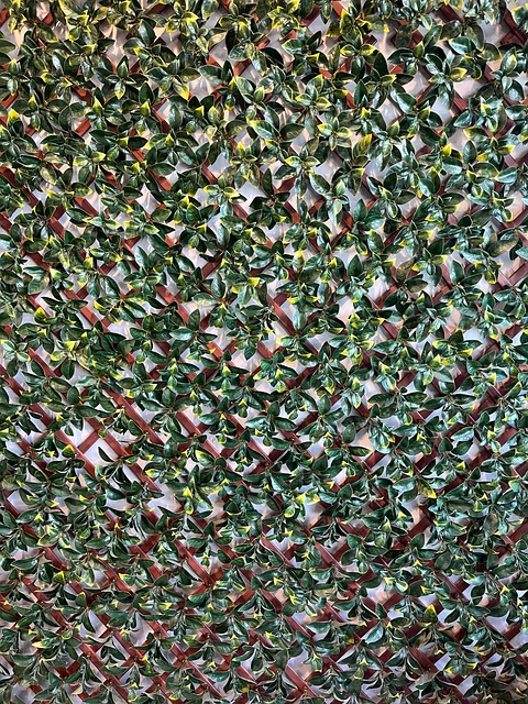 Muro, Decoração, Folhas, Plástico