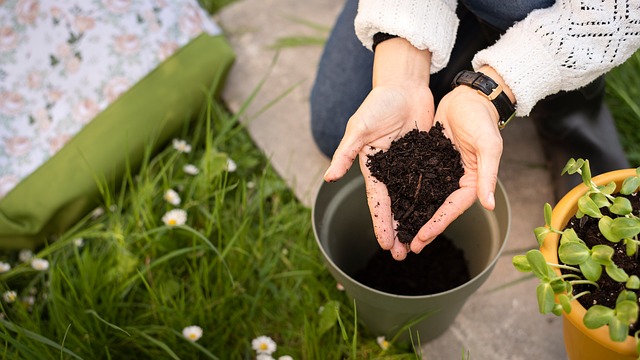 hands, plant maintenance, compost, eco-activity, organic, house, spring, agricultural, farm, diy gardening, ecological gesture, healthy lifestyle, environmental, slow life, home gardening, urban agriculture, outdoor activity, soil preparation, woman, natural lifestyle, vegetable garden, botanical, nature, soil