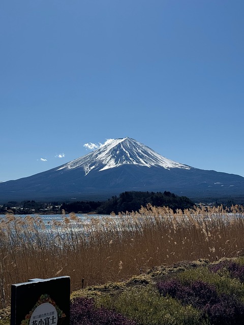Free Fuji Japan photo and picture