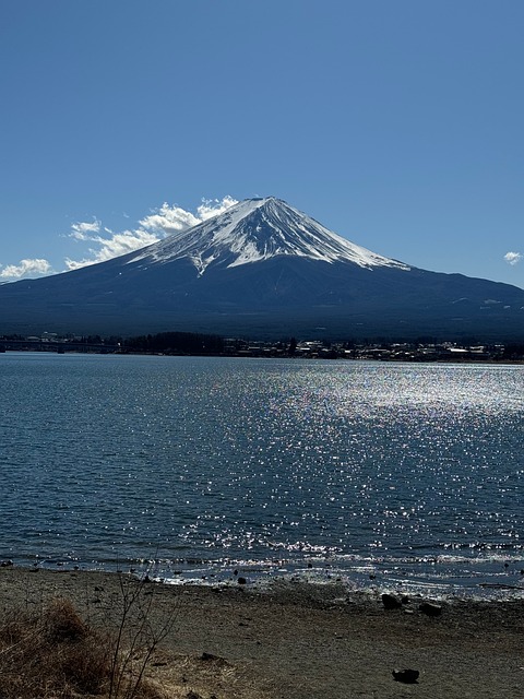 Free Fuji Nature photo and picture