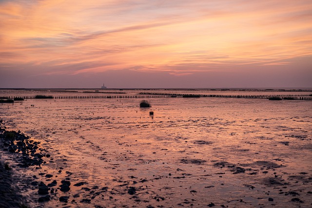 Free North Sea Sea photo and picture