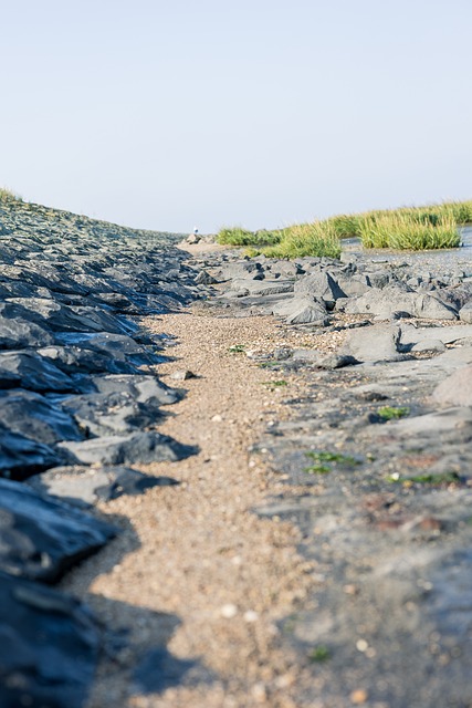 Free North Sea Friedrichskoog photo and picture