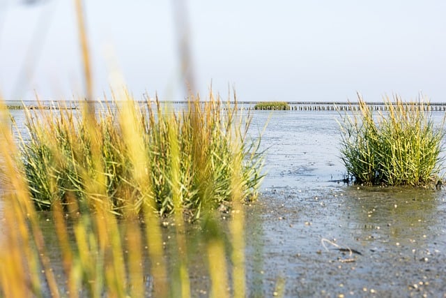 Free North Sea Sea photo and picture