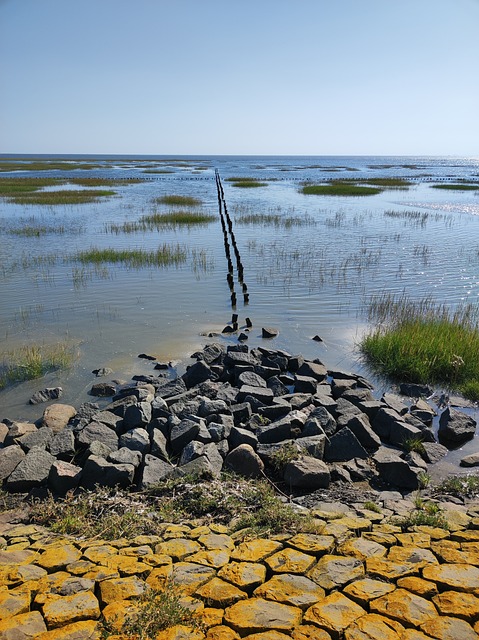 Free North Sea Water photo and picture