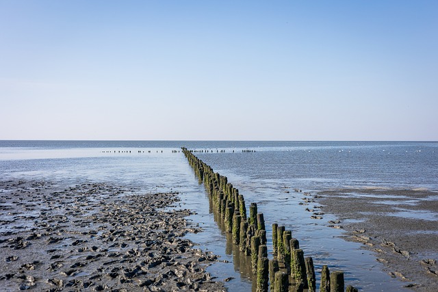 Free Nature Sea photo and picture