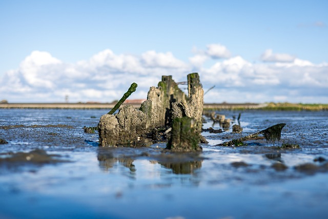 Free North Sea Sea photo and picture