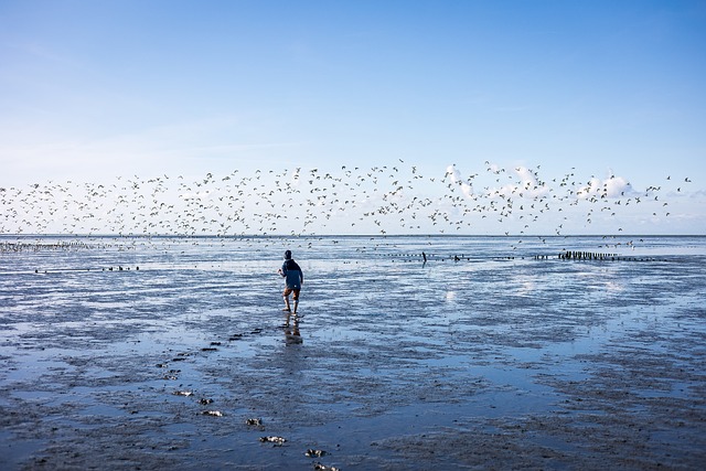 Free North Sea Sea photo and picture