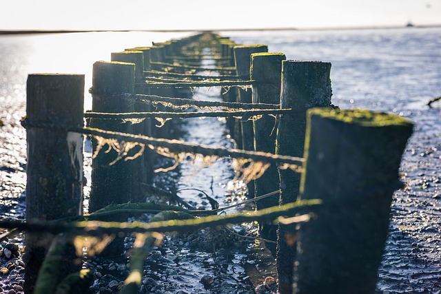 Free Sea Beach photo and picture