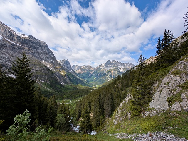 Free Summer Alps photo and picture