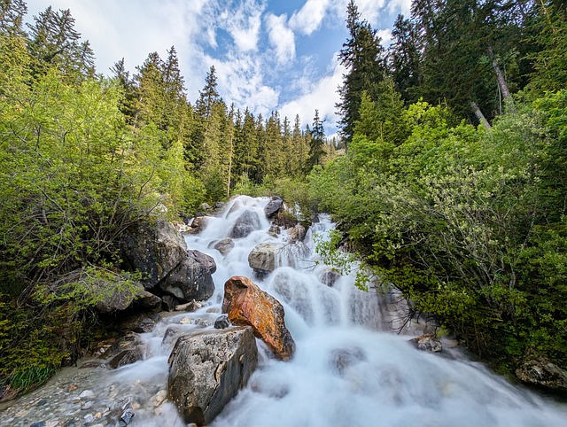 Free Alps Cascade photo and picture