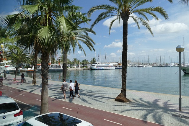 Free Palma Balearic Islands photo and picture