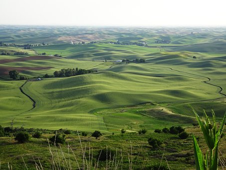 Palouse, Steptoe Butte, Stát Washington