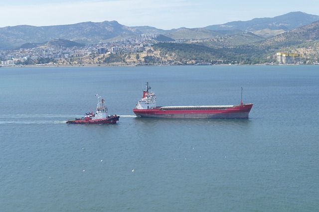Free Sea Cargo Ship photo and picture
