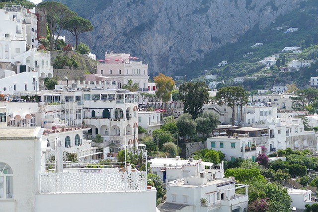 Free Island Of Capri Italy photo and picture