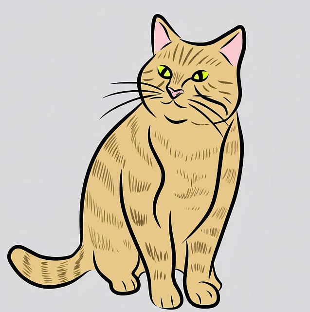 Free Cat Animal illustration and picture
