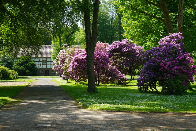 Městská Zahrada, Wattenscheid, Bochum