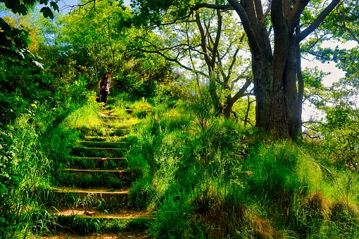 Wandern, Tourismus, Verschmutzung, Natur