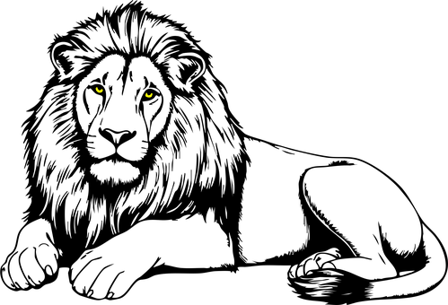 Natură, Animal, Rege, Felină, Prădător
