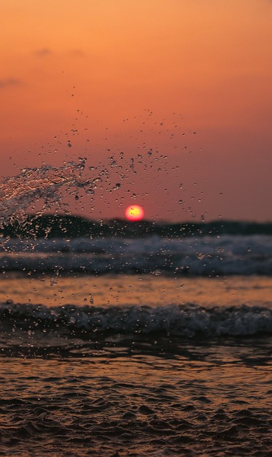 Free Water Beach photo and picture