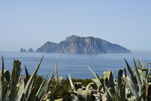 Rejse, Italien, Capri, Isle, Landskab