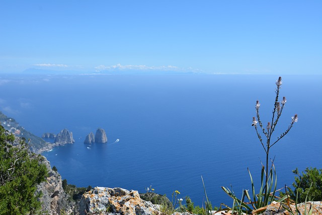 Italien, Capri, Hav, Natur, Cliffs