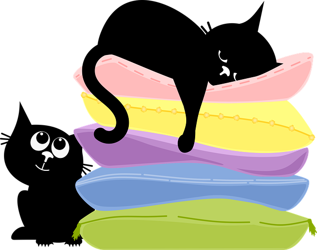 Free cat kitten black cats illustration
