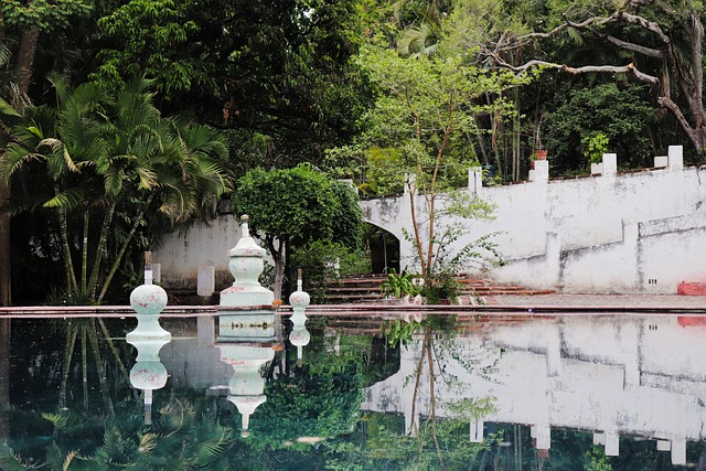 Free Yard Source photo and picture