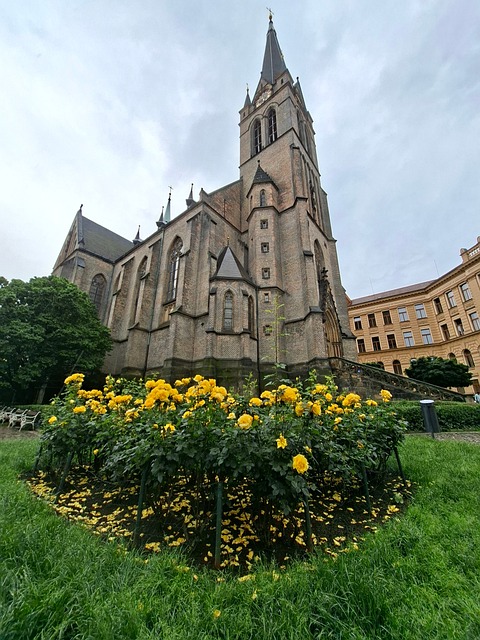 Free Architecture Building photo and picture