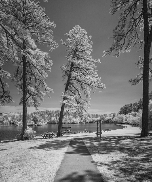 Free Infrared Landscape photo and picture
