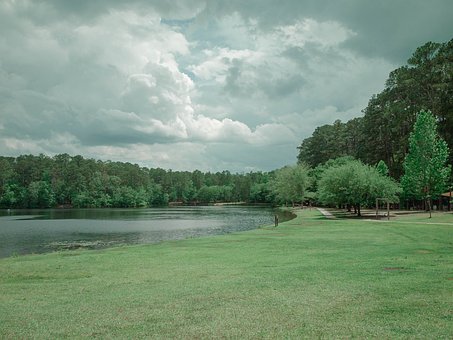 Free Lakeside Summer photo and picture