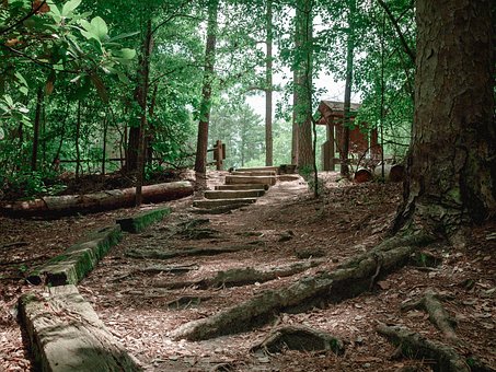 Free Pathway Nature photo and picture