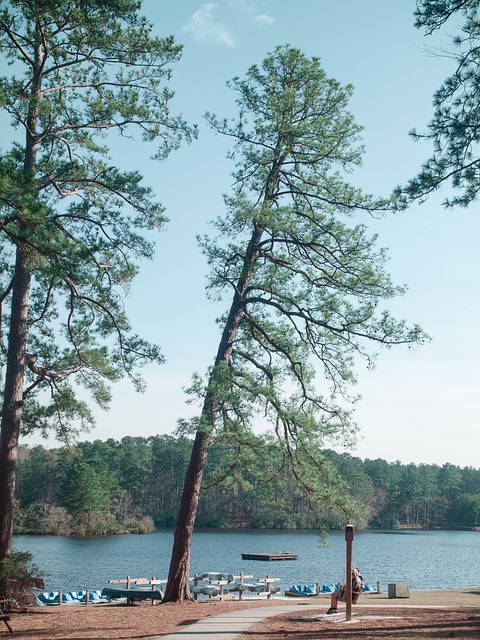 Free Lake Lakeside photo and picture