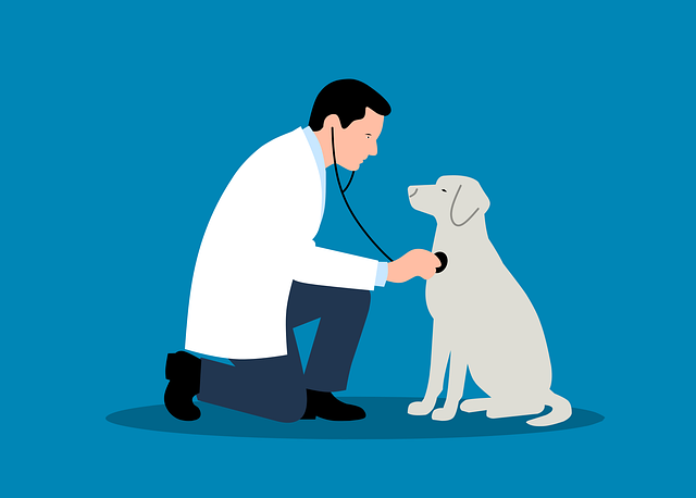 Free veterinarian vet dog vector