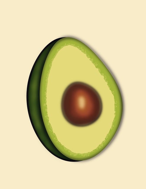 Free Avocado Fruit illustration and picture