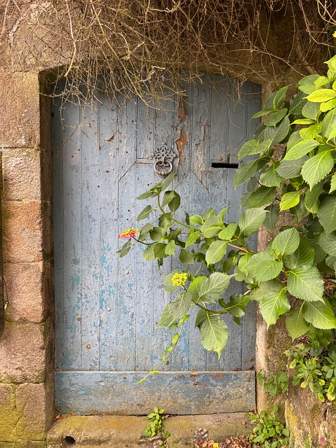 Free Door Haunting photo and picture