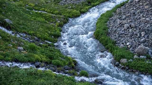 Free River Stream photo and picture