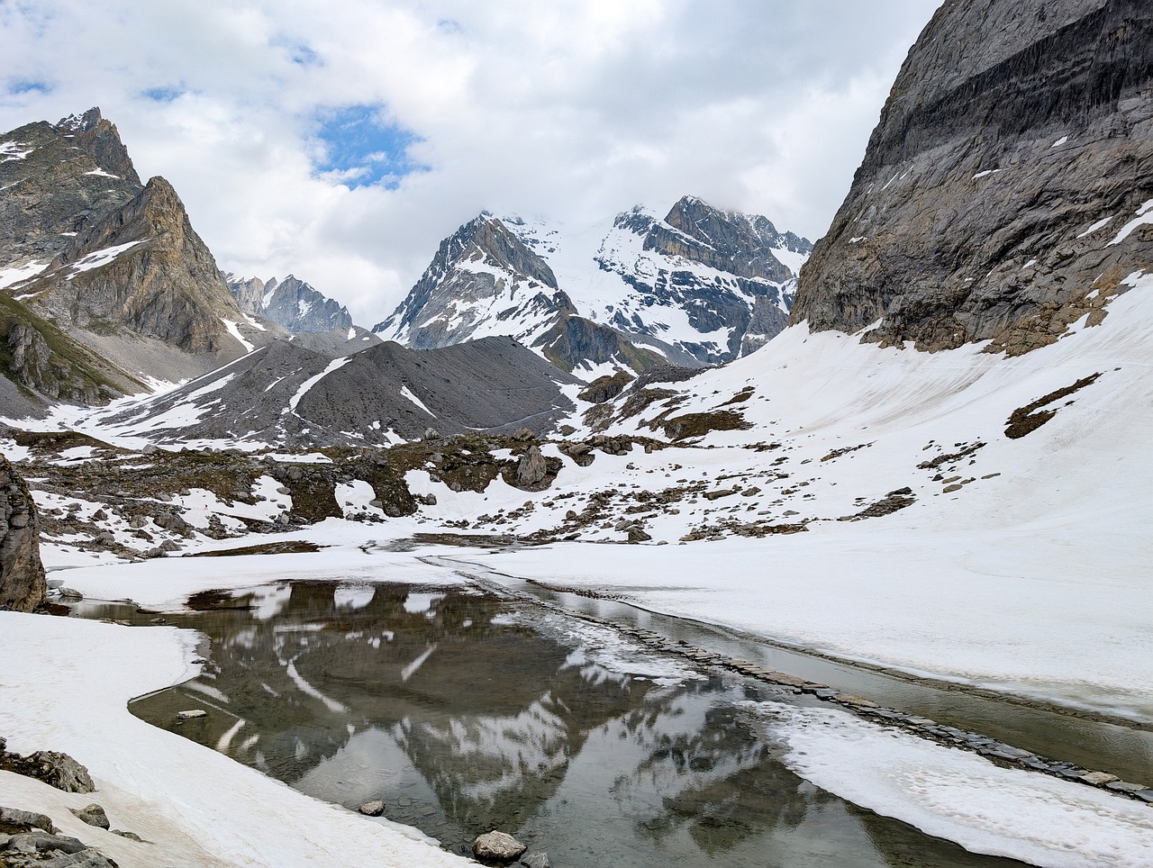 Cow Lake - free online jigsaw puzzle photo