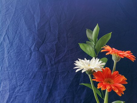 Blau, Orange, Weiß