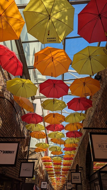 Free Colorful Umbrella photo and picture