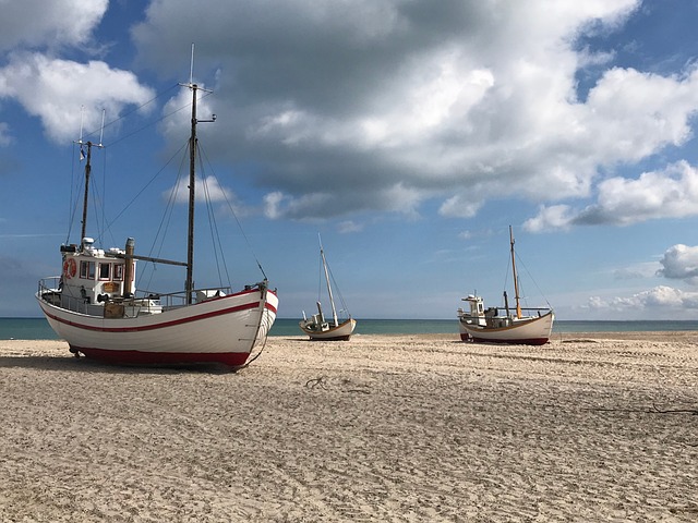 Free Cutter Beach photo and picture