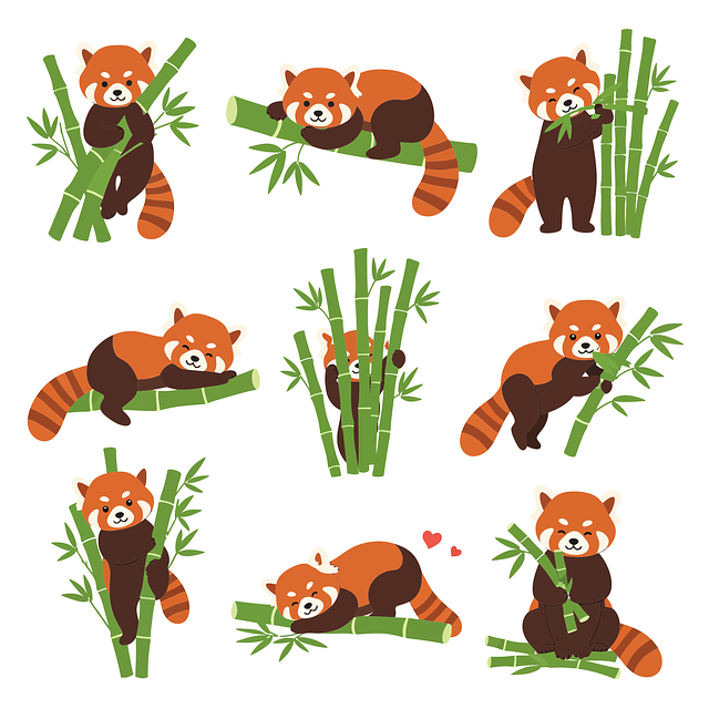 Free red panda lesser panda panda vector
