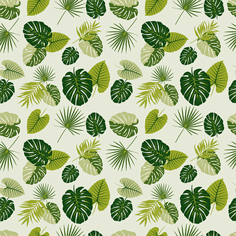 Folhas, Tropical, Natureza, Fundo Floral