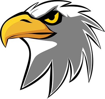Adler, Steinkopfadler, Logo, E Sport